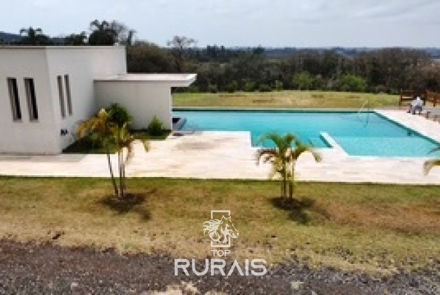 Haras formado na região de Tatui-SP.