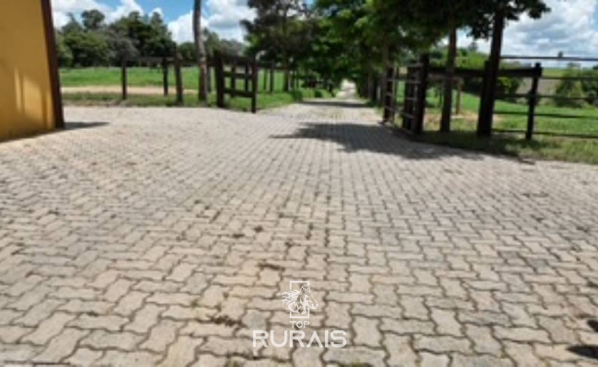 Haras formado á venda em Itatiba-SP