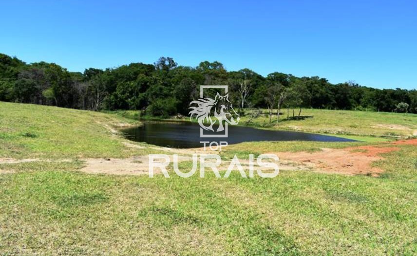 Fazenda à venda com 58 alqueires na região de Tietê-SP.