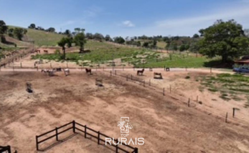 Haras pronto em Itatiba -SP, com 8,2 alqueires.