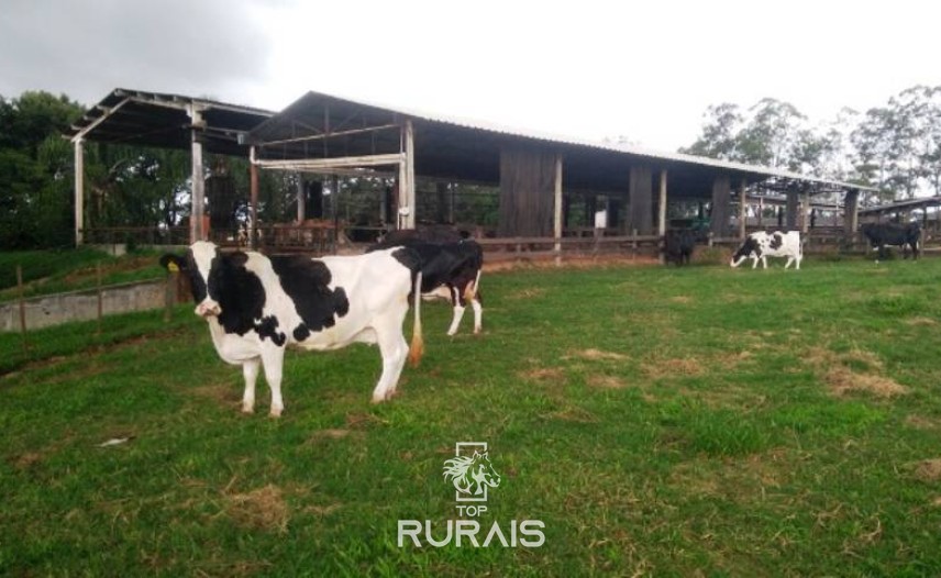 Fazenda à venda na região de Itapetininga.