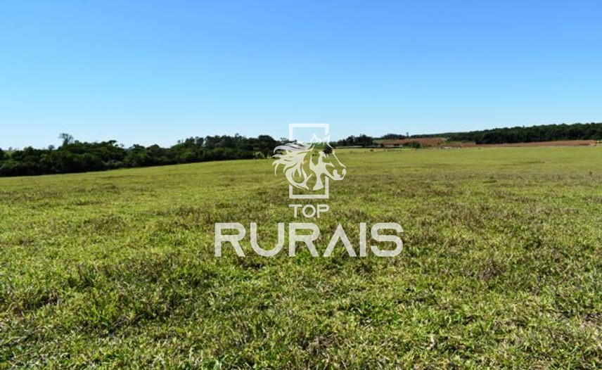 Fazenda à venda com 58 alqueires na região de Tietê-SP.