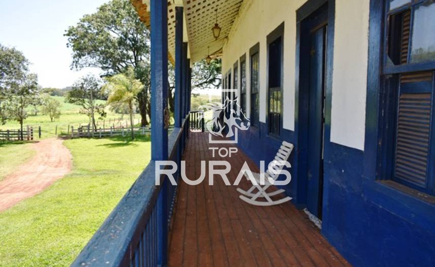 Fazenda à venda com 58 alqueires na região de Tietê-SP.