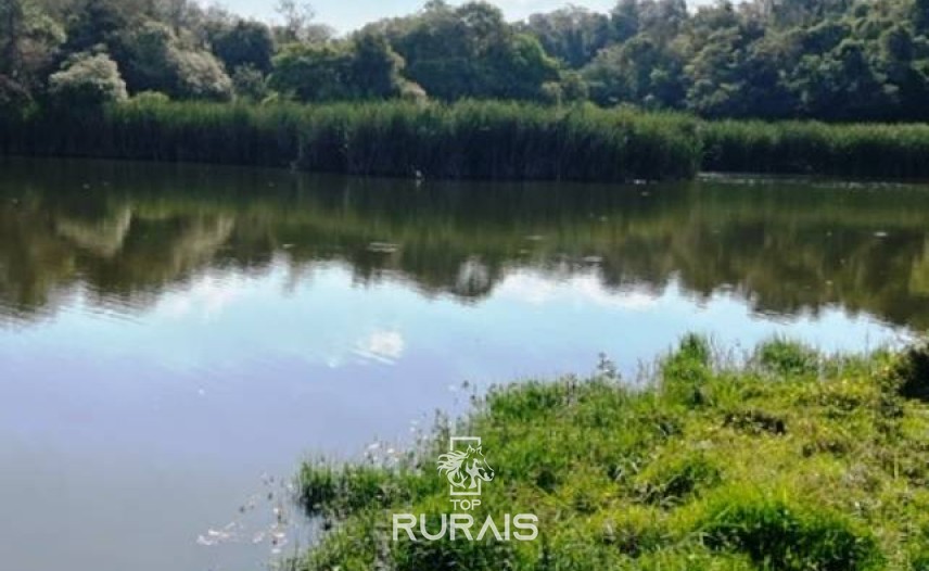 Haras à venda na região de Sorocaba com 15 alqueires.