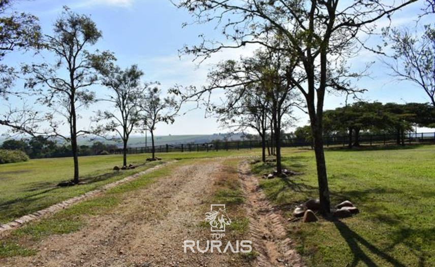 Sitio/haras á venda em Porto Feliz-SP.