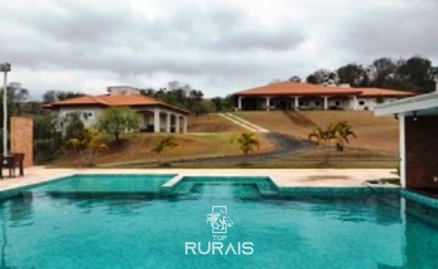 Haras formado na região de Tatui-SP.