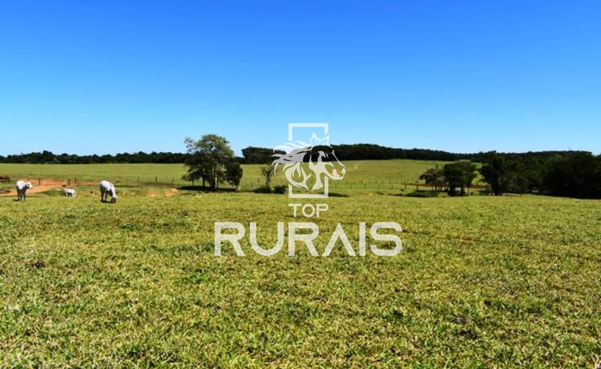 Fazenda à venda com 58 alqueires na região de Tietê-SP.