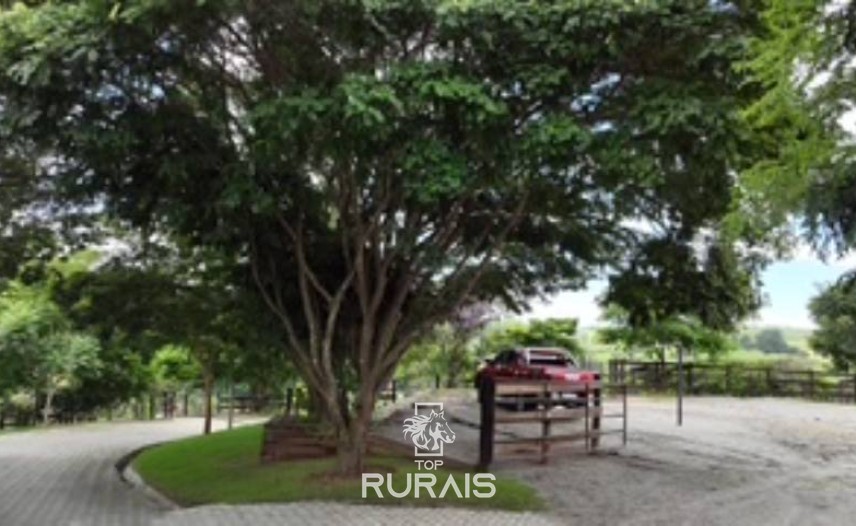 Haras formado á venda em Itatiba-SP