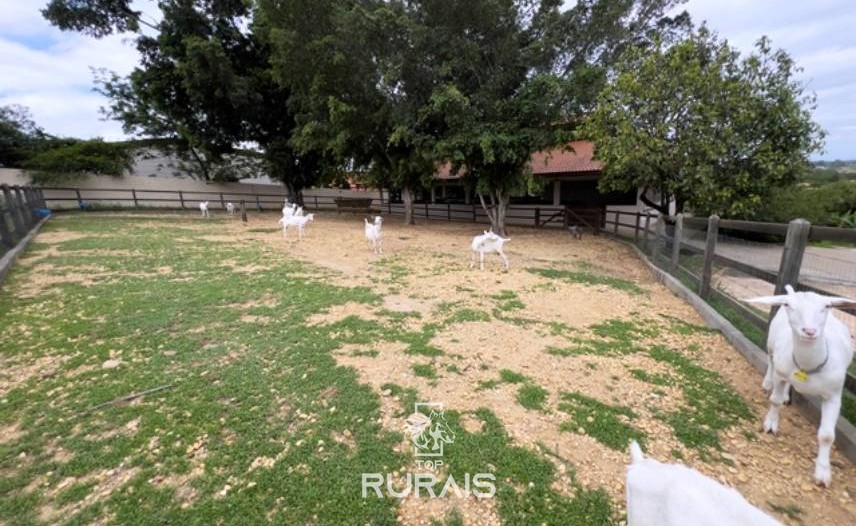 Haras perfeito à venda em condomínio. Porto Feliz-SP.