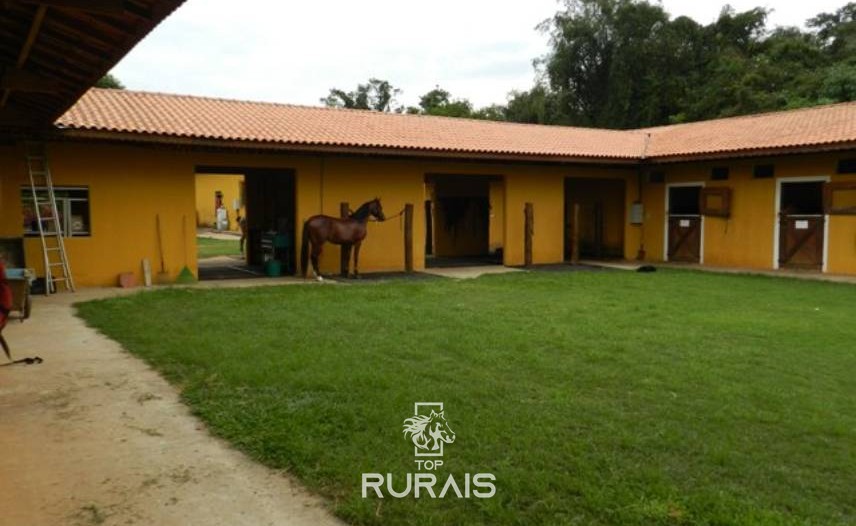 Haras formado à venda em Boituva-SP.