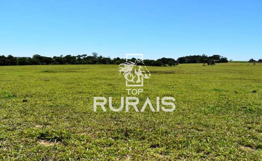 Fazenda à venda com 58 alqueires na região de Tietê-SP.