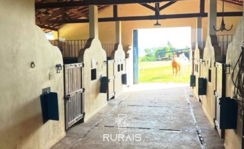 Haras à venda na região de Sorocaba com 15 alqueires.