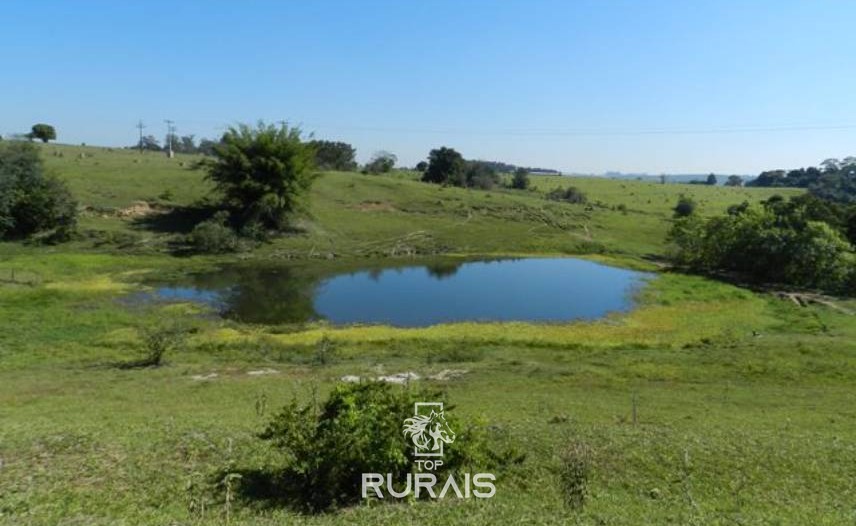 Sítio à venda em Tietê-SP, com 21,5 alqueires .