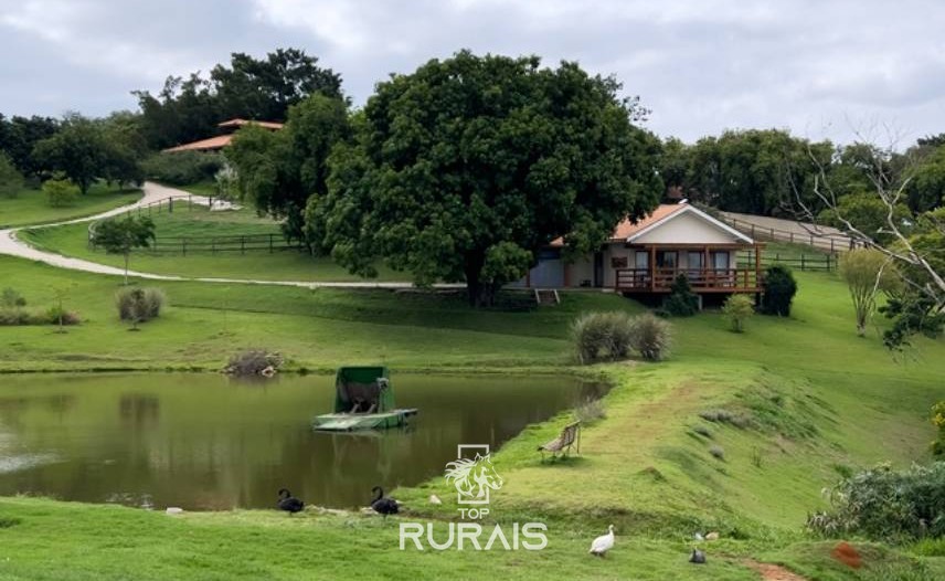 Haras perfeito à venda em condomínio. Porto Feliz-SP.