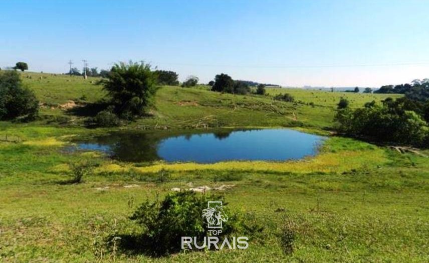 Sítio à venda em Tietê-SP, com 21,5 alqueires .