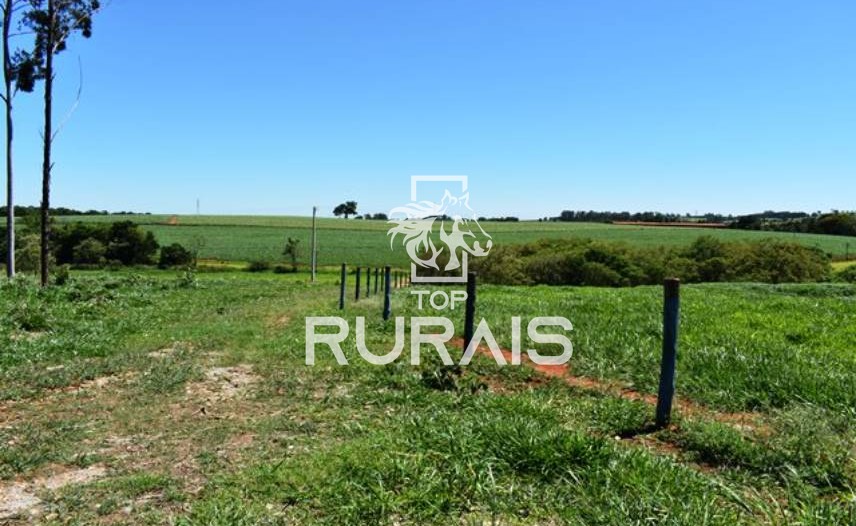 Fazenda à venda com 58 alqueires na região de Tietê-SP.