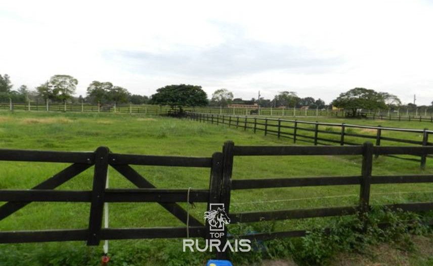 Haras formado à venda em Boituva-SP.