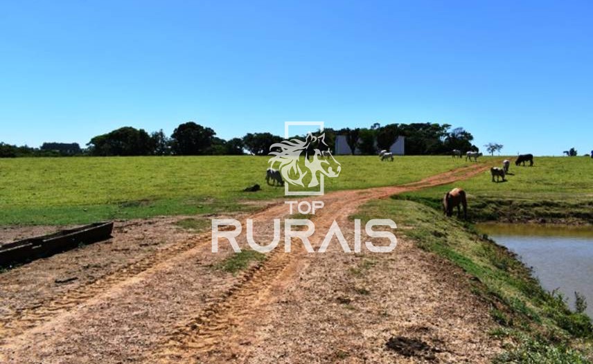 Fazenda à venda com 58 alqueires na região de Tietê-SP.