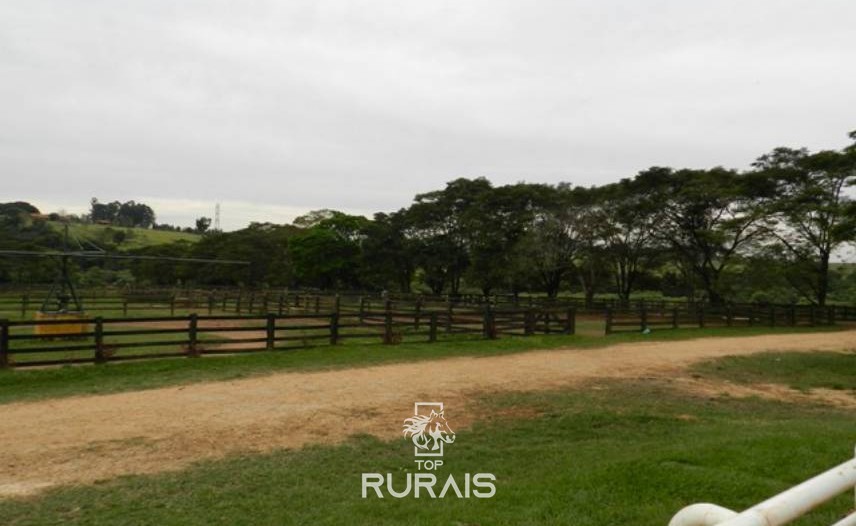 Haras formado à venda em Boituva-SP.