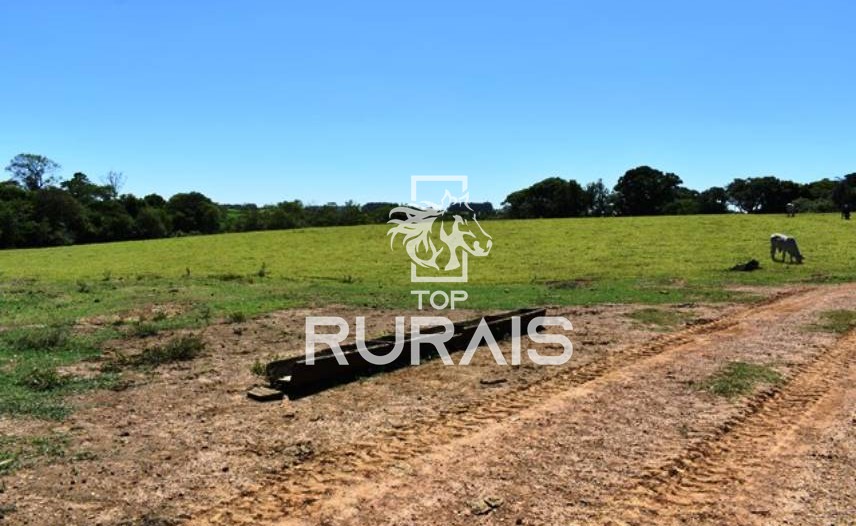 Fazenda à venda com 58 alqueires na região de Tietê-SP.