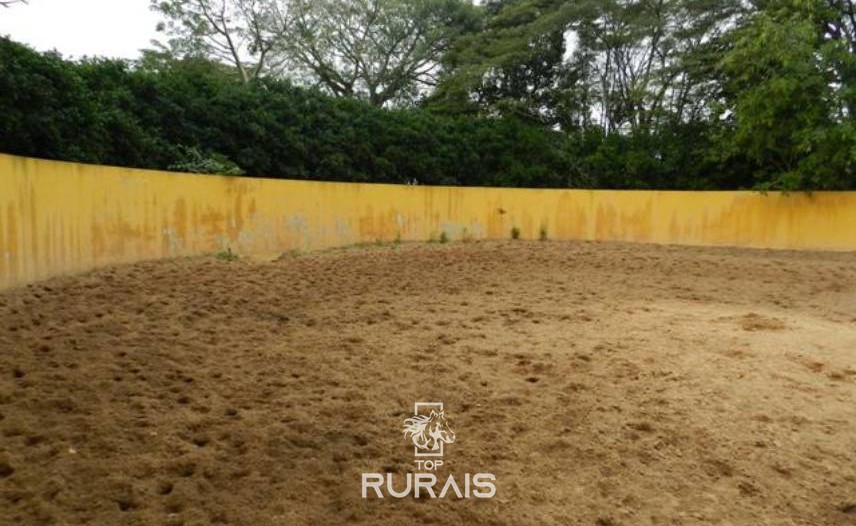 Haras formado à venda em Boituva-SP.