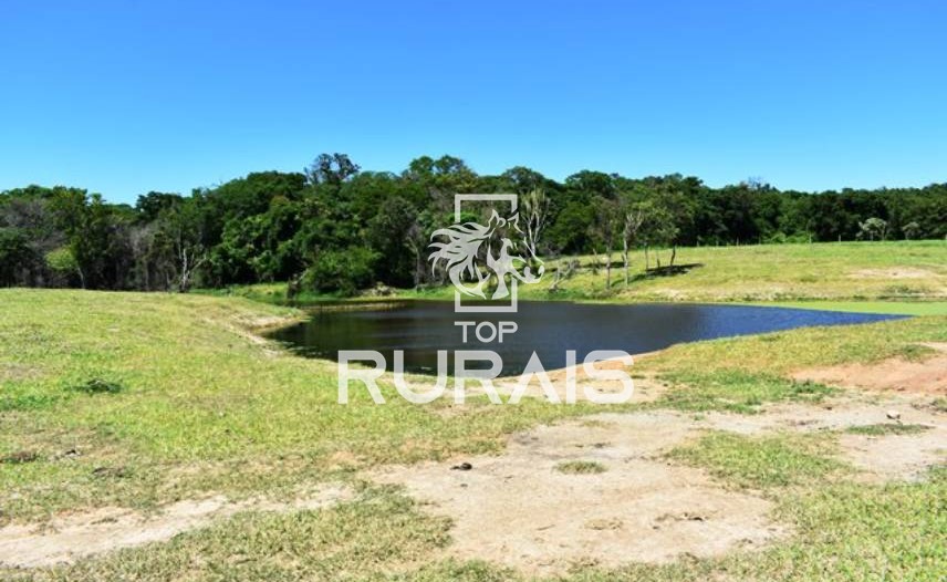Fazenda à venda com 58 alqueires na região de Tietê-SP.