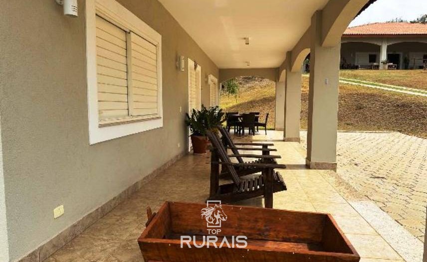 Haras formado na região de Tatui-SP.