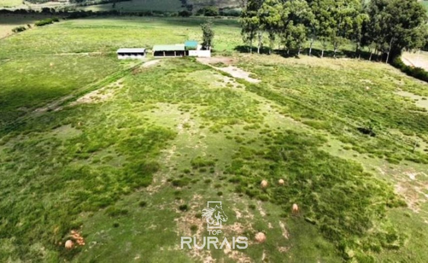 Haras á venda em Boituva-SP,