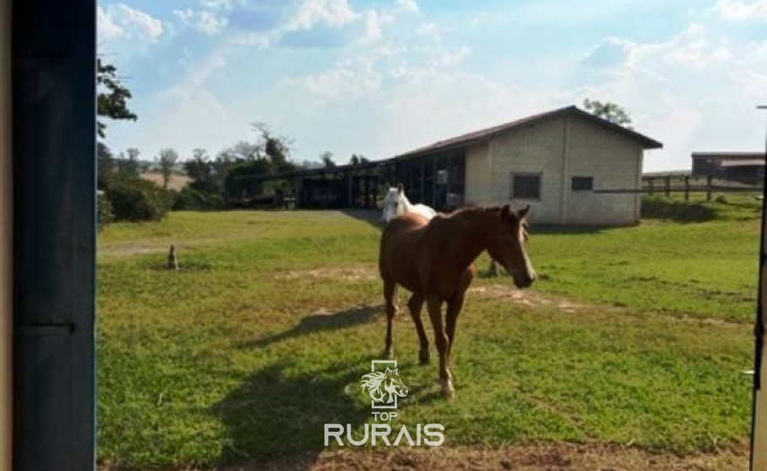 Haras à venda na região de Sorocaba com 15 alqueires.