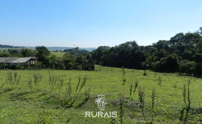 Sítio à venda em Tietê-SP, com 21,5 alqueires .