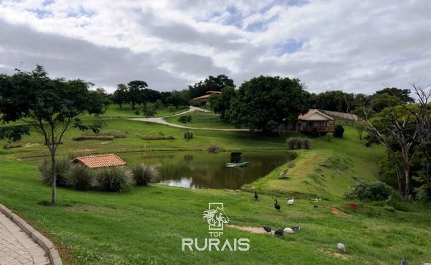 Haras perfeito à venda em condomínio. Porto Feliz-SP.
