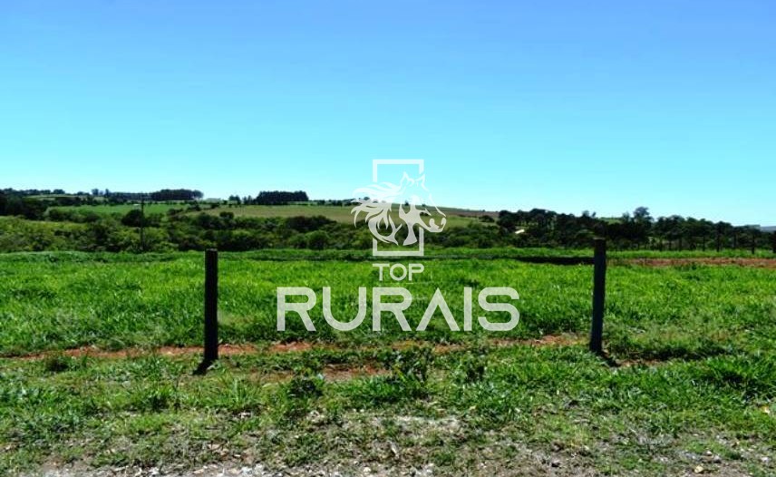Fazenda à venda com 58 alqueires na região de Tietê-SP.