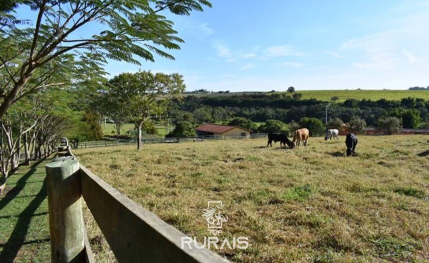 Haras à venda em Porto Feliz-SP.