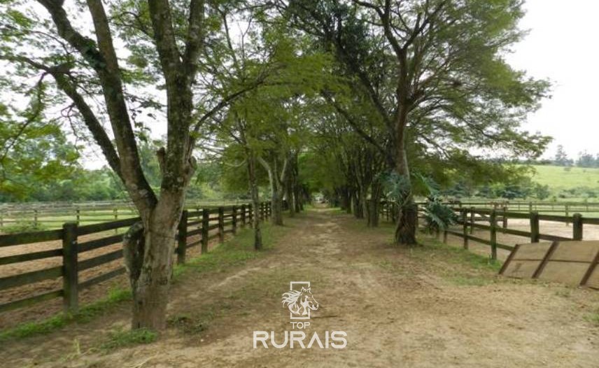 Haras formado à venda em Boituva-SP.