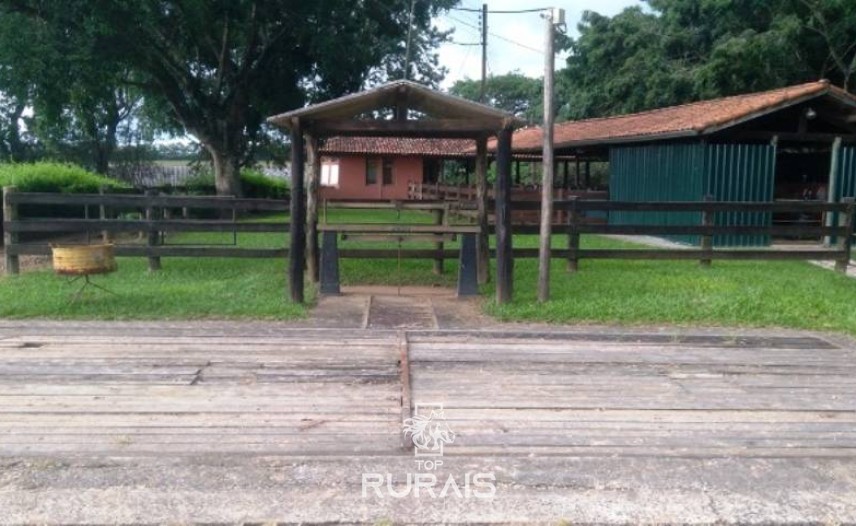 Fazenda à venda na região de Itapetininga.