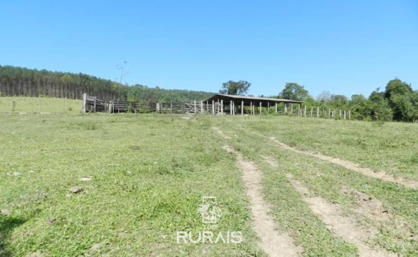 Sítio à venda em Tietê-SP, com 21,5 alqueires .