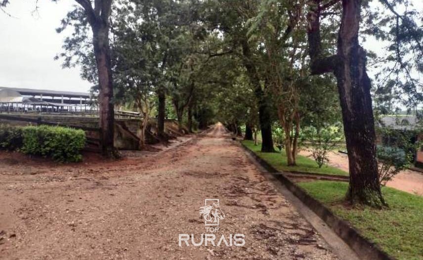 Fazenda à venda na região de Itapetininga.