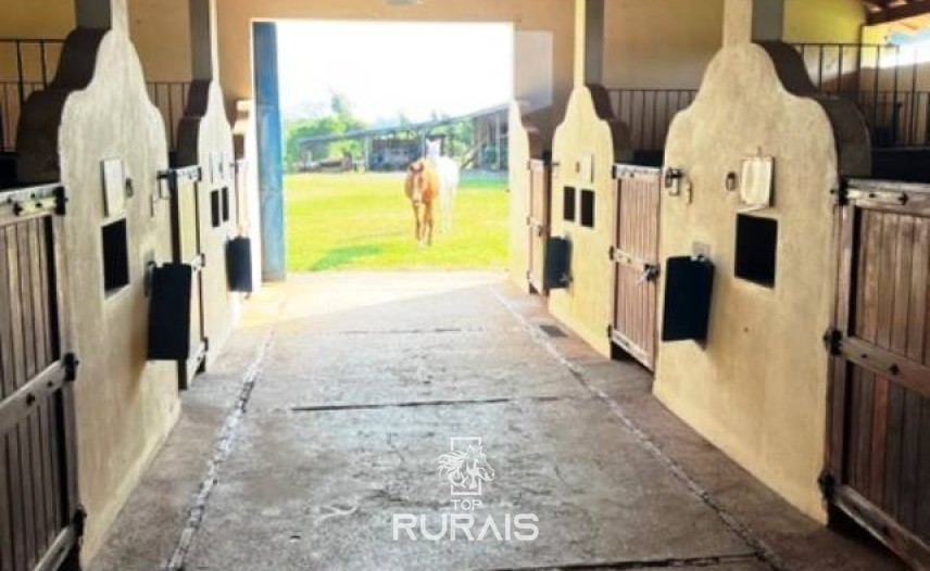 Haras à venda na região de Sorocaba com 15 alqueires.