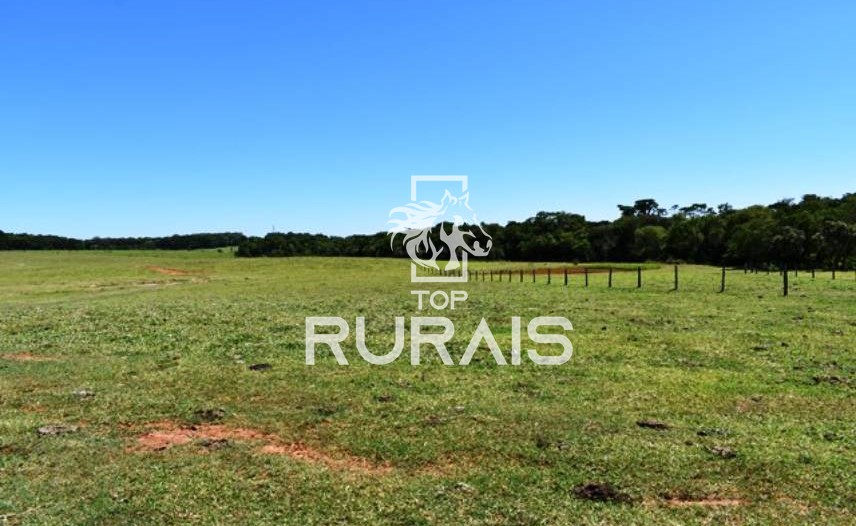 Fazenda à venda com 58 alqueires na região de Tietê-SP.