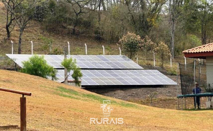 Haras formado na região de Tatui-SP.