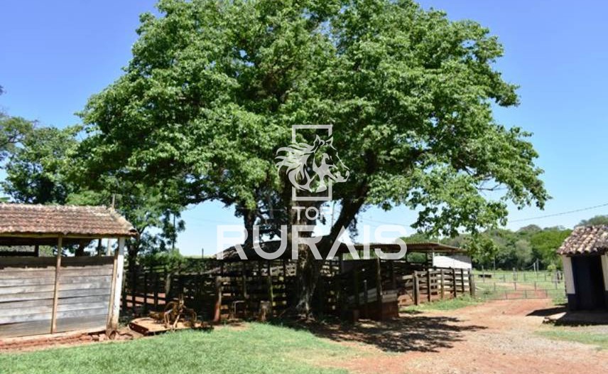 Fazenda à venda com 58 alqueires na região de Tietê-SP.