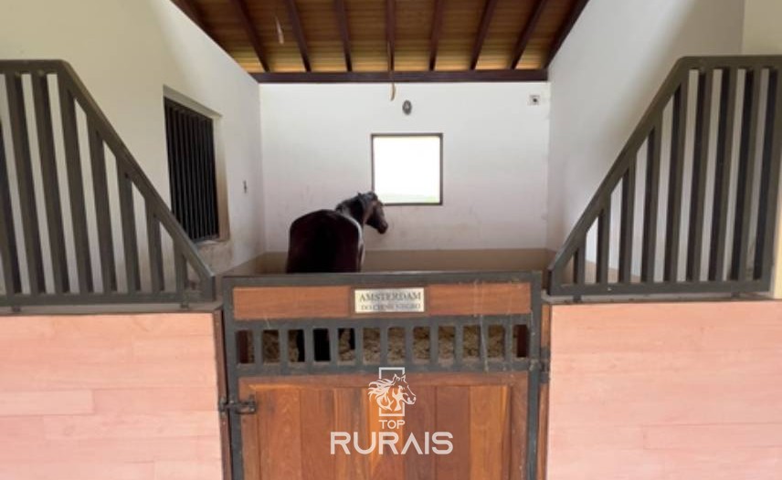 Haras perfeito à venda em condomínio. Porto Feliz-SP.