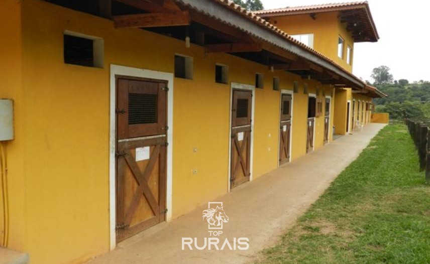 Haras formado à venda em Boituva-SP.