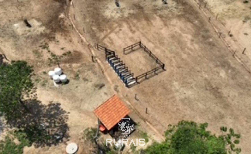 Haras pronto em Itatiba -SP, com 8,2 alqueires.