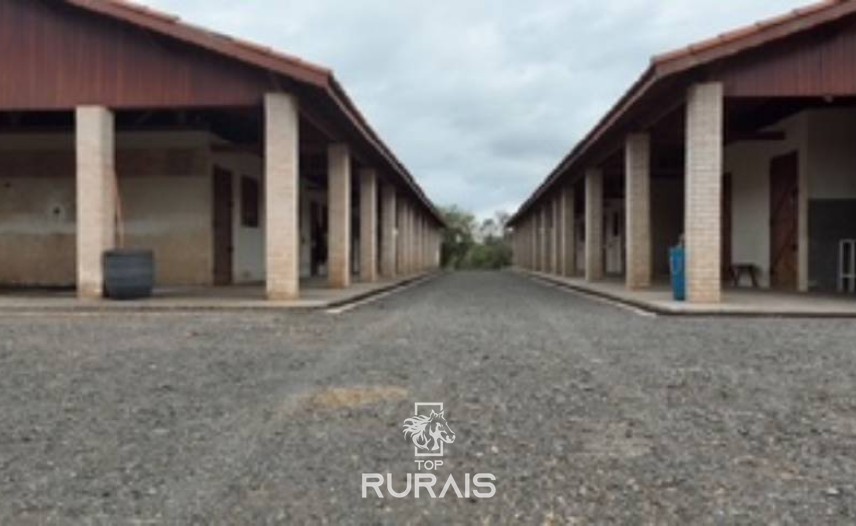 Haras formado na região de Tatui-SP.