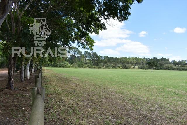 Haras à venda na região da Castelo Branco com 80 alqueires paulista