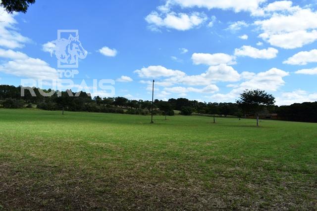 Haras à venda na região da Castelo Branco com 80 alqueires paulista