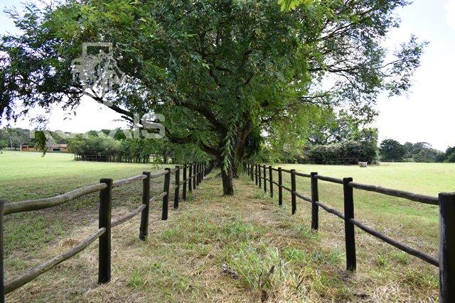 Haras à venda na região da Castelo Branco com 80 alqueires paulista