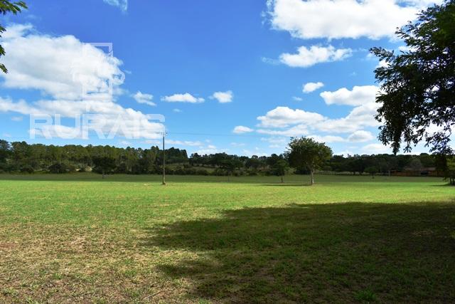 Haras à venda na região da Castelo Branco com 80 alqueires paulista