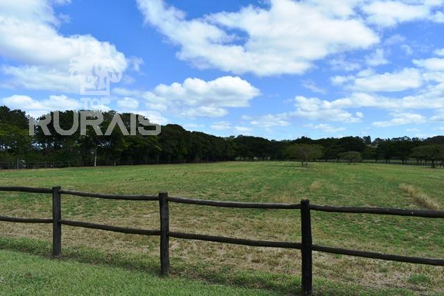 Haras à venda na região da Castelo Branco com 80 alqueires paulista